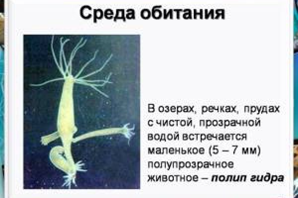 Не работает сайт kraken