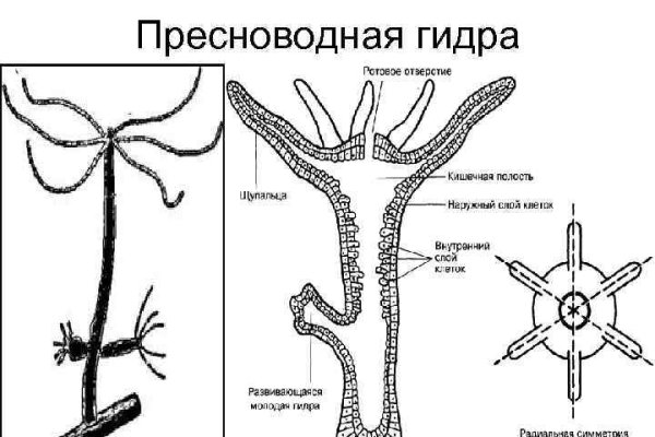 Даркнет официальный сайт на русском