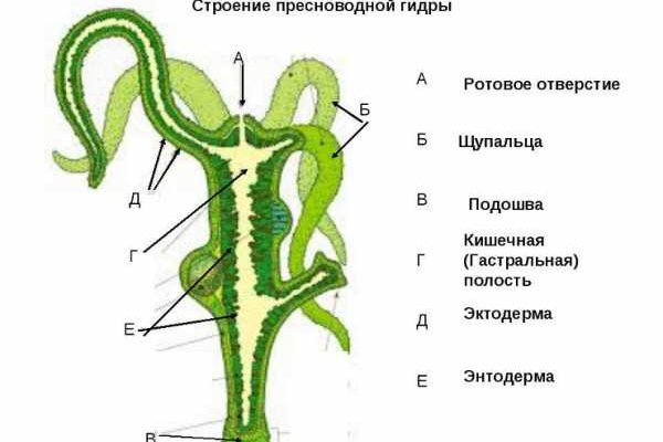 Кракен 9 at