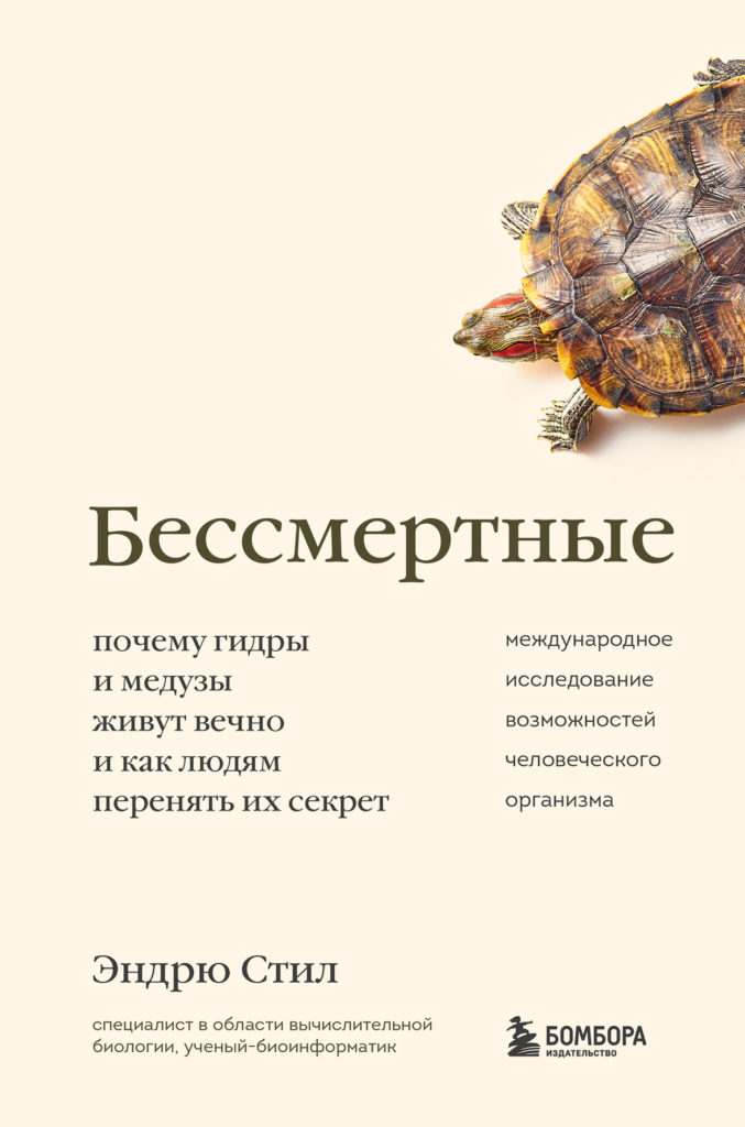 Kraken домен